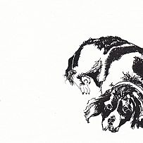 Companion