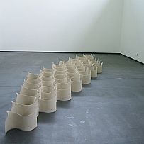 Field II