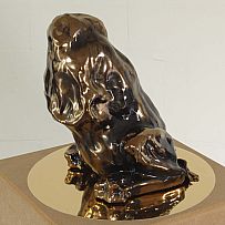 Narcissus