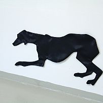 Among the shades (dogs)