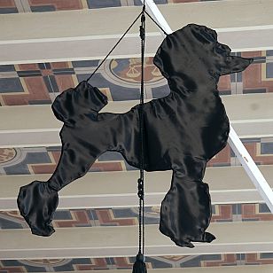 follow the (black) poodle: flags 