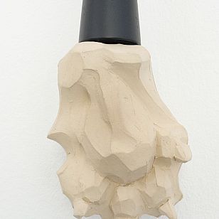 limb 