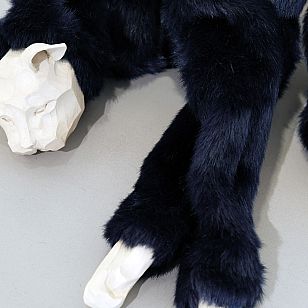 make yourself useful - cat 